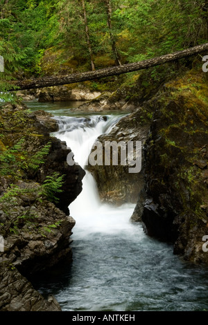 Partie inférieure de la rivière Little Qualicum Falls, parc provincial de la rivière Little Qualicum, près de Parksville, île de Vancouver, Colombie-Britannique Banque D'Images