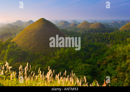 Lever du soleil sur les collines de chocolat de Bohol aux Philippines Banque D'Images