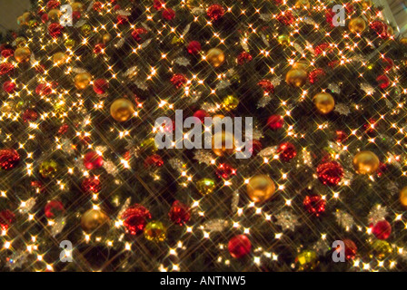 Arbre de Noël lumineux Banque D'Images