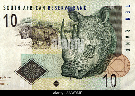 De près de l'rhino sur les dix de l'Afrique du Sud Rand note. Banque D'Images