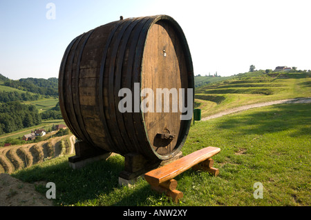 Jeruzalem vignes Mura Balkans Europe Slovénie Pomurje Banque D'Images