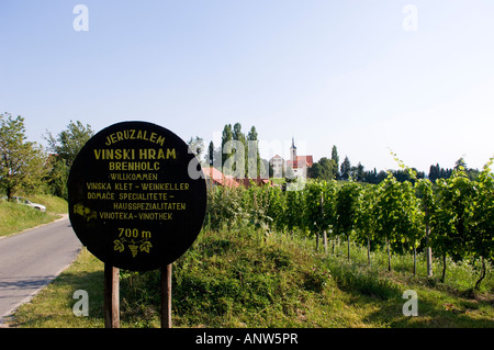 Jeruzalem vignes Mura Balkans Europe Slovénie Pomurje Banque D'Images