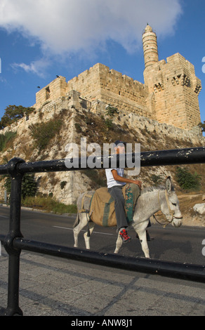 Israël Jérusalem près de la porte de Jaffa jeune palestinien passant par sur la route avec un âne Toer de David dans bkgd Banque D'Images