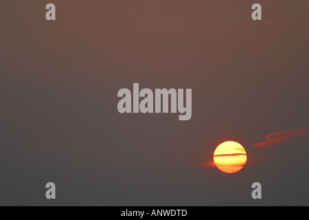 Soirée coucher du soleil avec les nuages minces en face du soleil couchant Banque D'Images