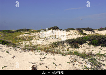 Parc d'État de Floride Grayton Beach sand dunes Banque D'Images