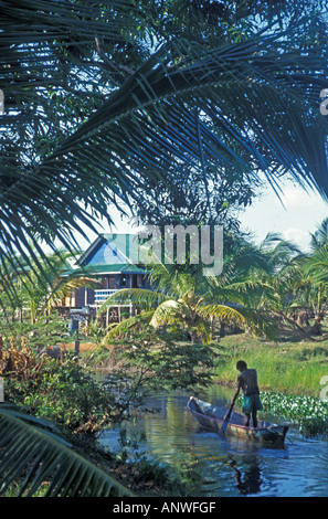 Moustique miskito du Nicaragua poling indien petit bateau pirogue sur petit ruisseau Banque D'Images