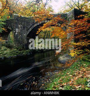 Couleurs d'automne par le pont Holne au-dessus de la rivière Dart dans le parc national de Dartmoor près d'Ashburton, Devon. Banque D'Images