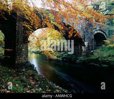 Couleurs d'automne par le pont Holne au-dessus de la rivière Dart dans le parc national de Dartmoor près d'Ashburton, Devon. Banque D'Images