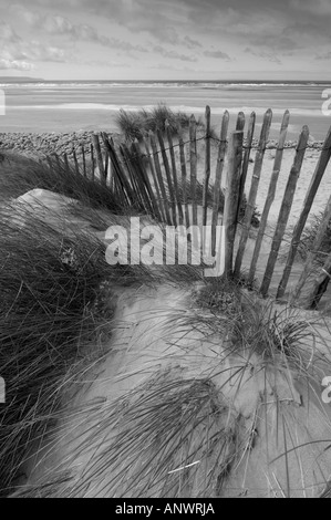 Dunes de sable de Northam Burrows sur le South West Coast Path près de Westward Ho ! Dans le Devon, en Angleterre. Banque D'Images