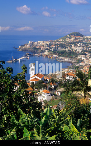 Port de Funchal à Madère, destination de croisière avec bateau de croisière amarré jusqu'au port et clocher d'église, bananeraie en premier plan Madère Portugal Banque D'Images