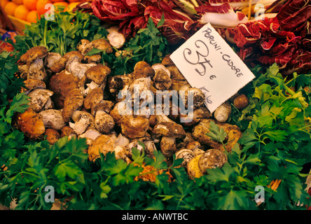 Fines à Sienne l'affichage pour la vente des produits frais, de grande qualité et cèpes Toscane Italie Banque D'Images