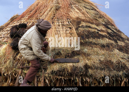 L'Afrique, l'Ethiopie, la région de la rivière Omo, mettre un toit de chaume sur une cabane dans un village de l'Oromo (MR) Banque D'Images