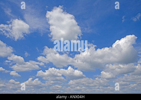 Ciel nuageux avec puffy cumulus, Autriche Banque D'Images