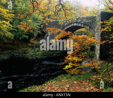 Couleurs d'automne par le pont Holne au-dessus de la rivière Dart dans le parc national de Dartmoor près d'Ashburton, Devon. Banque D'Images