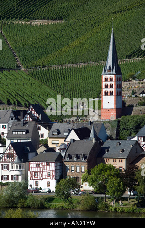 Merl bei Zell vineyards Vallée de la Moselle Rheinland-pfalz Allemagne Banque D'Images