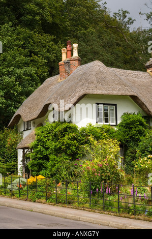 Ruche chalet au Lyndhurst dans le New Forest Banque D'Images