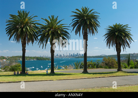 Palmiers au Watson's Bay, Sydney Banque D'Images