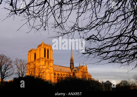 Une photo de la cathédrale Notre Dame dans le cadre d'un hiver spectaculaire coucher du soleil la lumière, à Paris, France. Banque D'Images