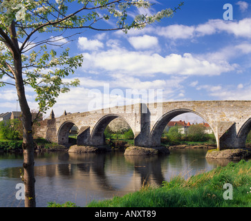 Stirling Pont sur la rivière Forth, la ville de Stirling, Scotland, UK. Connu localement sous le nom de l'Auld Brig Banque D'Images