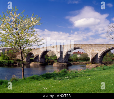 Stirling Pont sur la rivière Forth, la ville de Stirling, Scotland, UK. Connu localement sous le nom de l'Auld Brig Banque D'Images