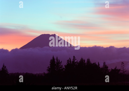 Nouvelle Zélande, île du Nord, Parc National de Tongariro. Lever du soleil au-dessus du Mont Tongariro. Créé en 1887, une zone du patrimoine mondial. Banque D'Images