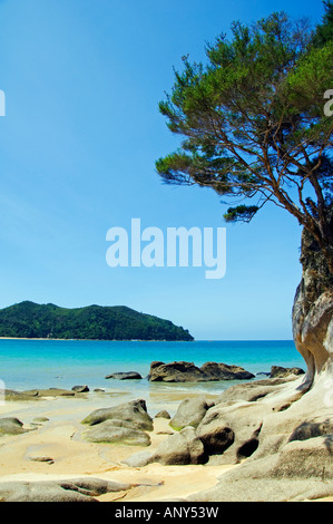 Nouvelle Zélande, île du Sud, Nelson. Kayak à Onetahuti Beach au parc national Abel Tasman. Nommé d'après l'explorateur hollandais. Banque D'Images