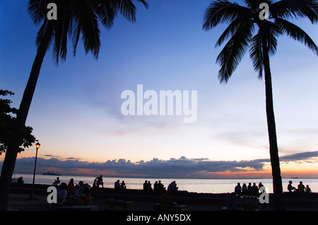 Philippines, Manille, Luzon. Palmiers sur la baie de Manille au coucher du soleil. Banque D'Images