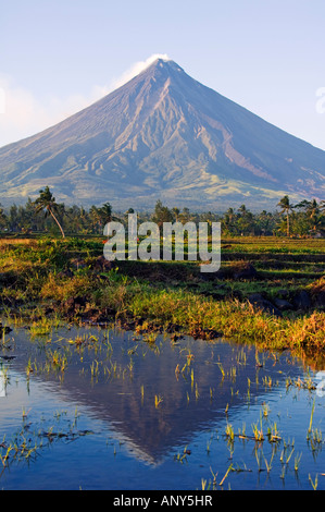 L'île de Luzon, Philippines, Province de Bicol, mont Mayon (2462m). Près de volcan parfait cône avec un nuage de fumée. Banque D'Images