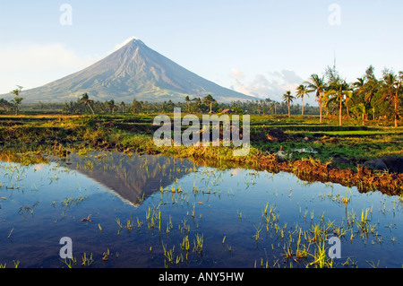 L'île de Luzon, Philippines, Province de Bicol, mont Mayon (2462m). Près de volcan parfait cône avec un nuage de fumée. Banque D'Images