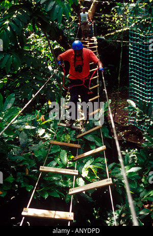 La marche de la canopée, rouleaux Wacky Park, parc national du Morne Trois Pitons, Dominique, des Caraïbes. Banque D'Images