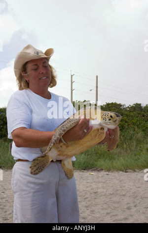 La tenue d'une bénévole la tortue de mer verte Banque D'Images