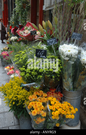 France, Paris, Patrick Allain un fleuriste en Ile Saint Louis Banque D'Images