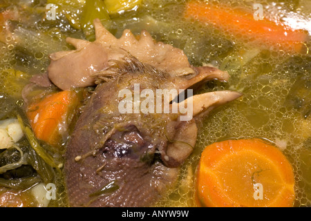 La tête d'une poule qui sortent de la poule au pot stock (France). Tête de volaille émergeant du bouillon d'une poule au pot (France) Banque D'Images