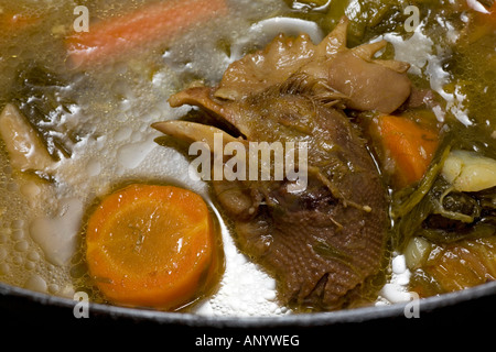 La tête d'une poule qui sortent de la poule au pot stock (France). Tête de volaille émergeant du bouillon d'une poule au pot (France) Banque D'Images