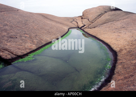 Bassin d'eau salée et d'eau de pluie mixte sur une petite île en forme de glace sur la côte ouest de la Suède Banque D'Images