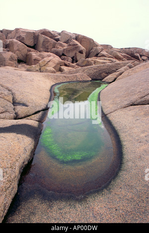 Bassin d'eau salée et d'eau de pluie mixte sur une petite île en forme de glace sur la côte ouest de la Suède Banque D'Images