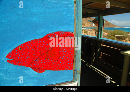 Coral cod peint sur la porte de la boutique Red Bluff Banque D'Images