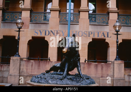 Sydney NSW Australie Sydney Hospital il Porcellino (le petit porc) réplique de la statue de sanglier à Florence Banque D'Images