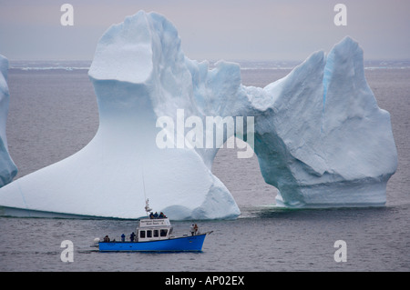 Observation d'icebergs avec Northland tours en bateau Découverte de St Anthony vu de télévision Point Lookout dans la ville d'une grande Breh Banque D'Images