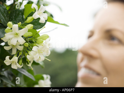 Woman smelling jasmine Banque D'Images