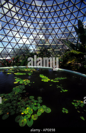 Toit en dôme dans hothouse Mount Cootha Jardins Botaniques de Brisbane Queensland en Australie et de l'eau étang 2588 waterliliy Banque D'Images