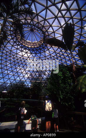 Toit en dôme dans hothouse Mount Cootha Jardins Botaniques de Brisbane Queensland Australie 2589 Banque D'Images