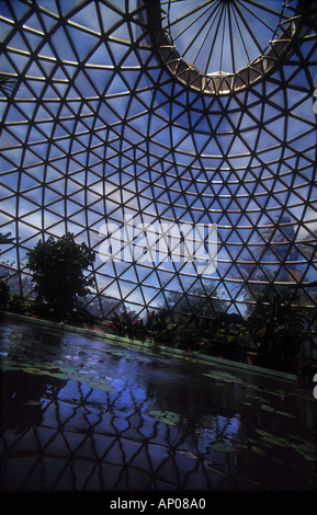 Toit en dôme dans hothouse Mount Cootha Jardins Botaniques de Brisbane Queensland Australie 2597 Banque D'Images