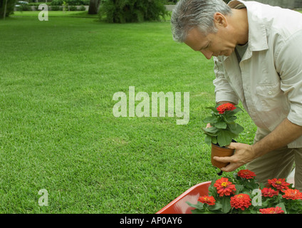 Mature man holding potted flower Banque D'Images