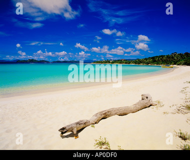 Un morceau de bois flotté jette sur la plage de sable blanc aux eaux turquoises Lindquist St Thomas US Virgin Islands Banque D'Images