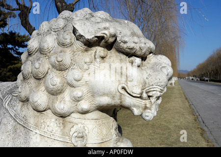 Le lion de pierre sacrée des Tombeaux Ming Shisanling à Beijing, Chine. 16 Jan 2008 Banque D'Images