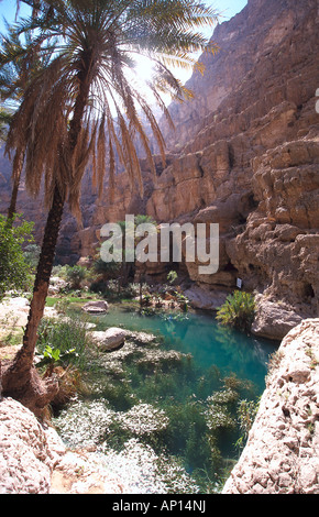 La baie ensoleillée au Golfe d'Oman, Wadi Shab, Oman Banque D'Images