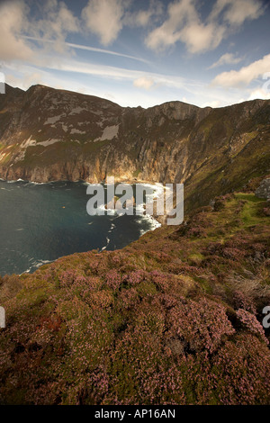 Sud-ouest de l'Irlande Donegal Slieve League Les plus hautes falaises maritimes d'Europe déposer 600m dans l'océan Atlantique Banque D'Images