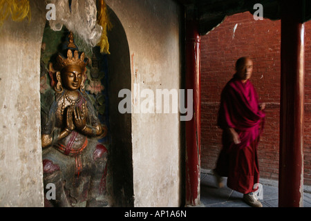 Monk encerclant le roues de prière et de statues, la Grande Pagode Blanche, Tayuan Temple, au cours de la célébration de l'anniversaire, Wenshu Banque D'Images