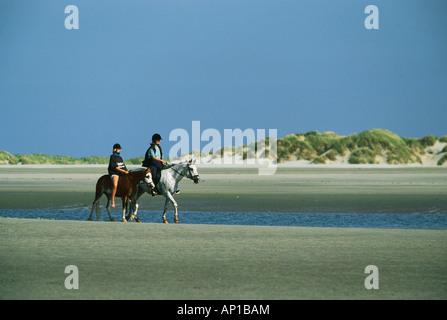 Montés sur des chevaux sur la plage, l'île de Norderney, Allemagne Banque D'Images